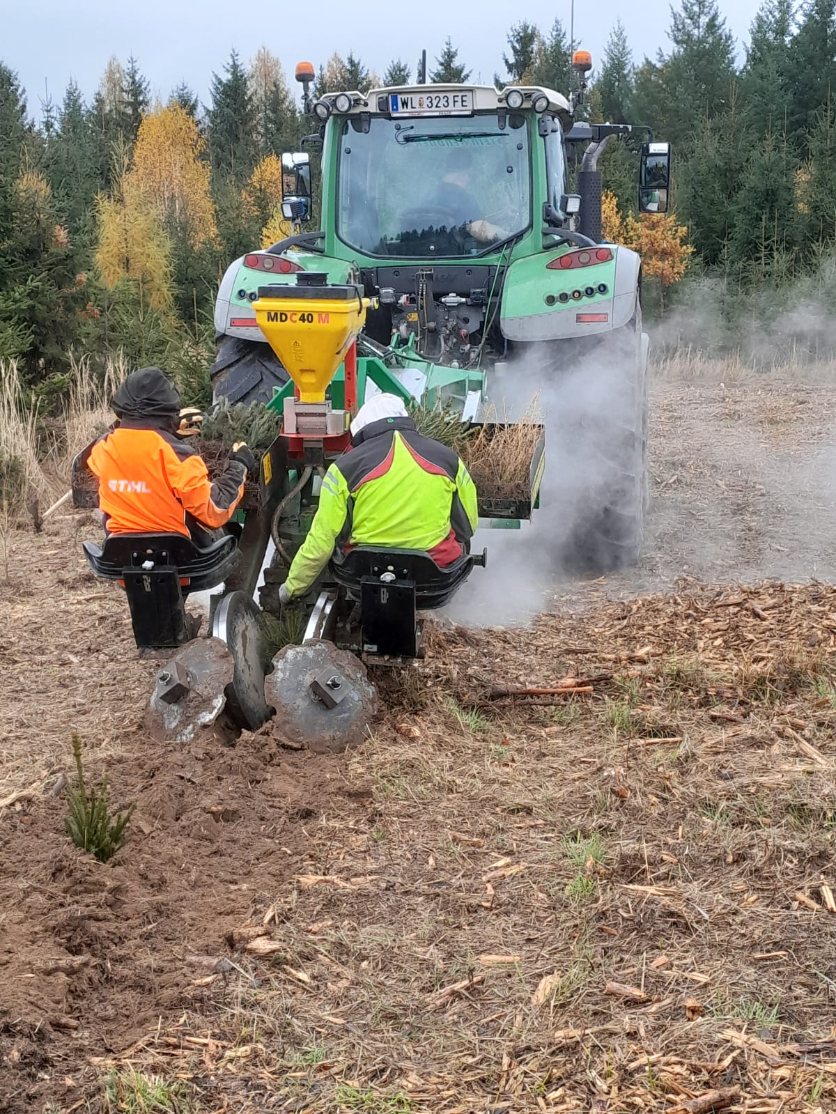 Aufforstung und Bepflanzung