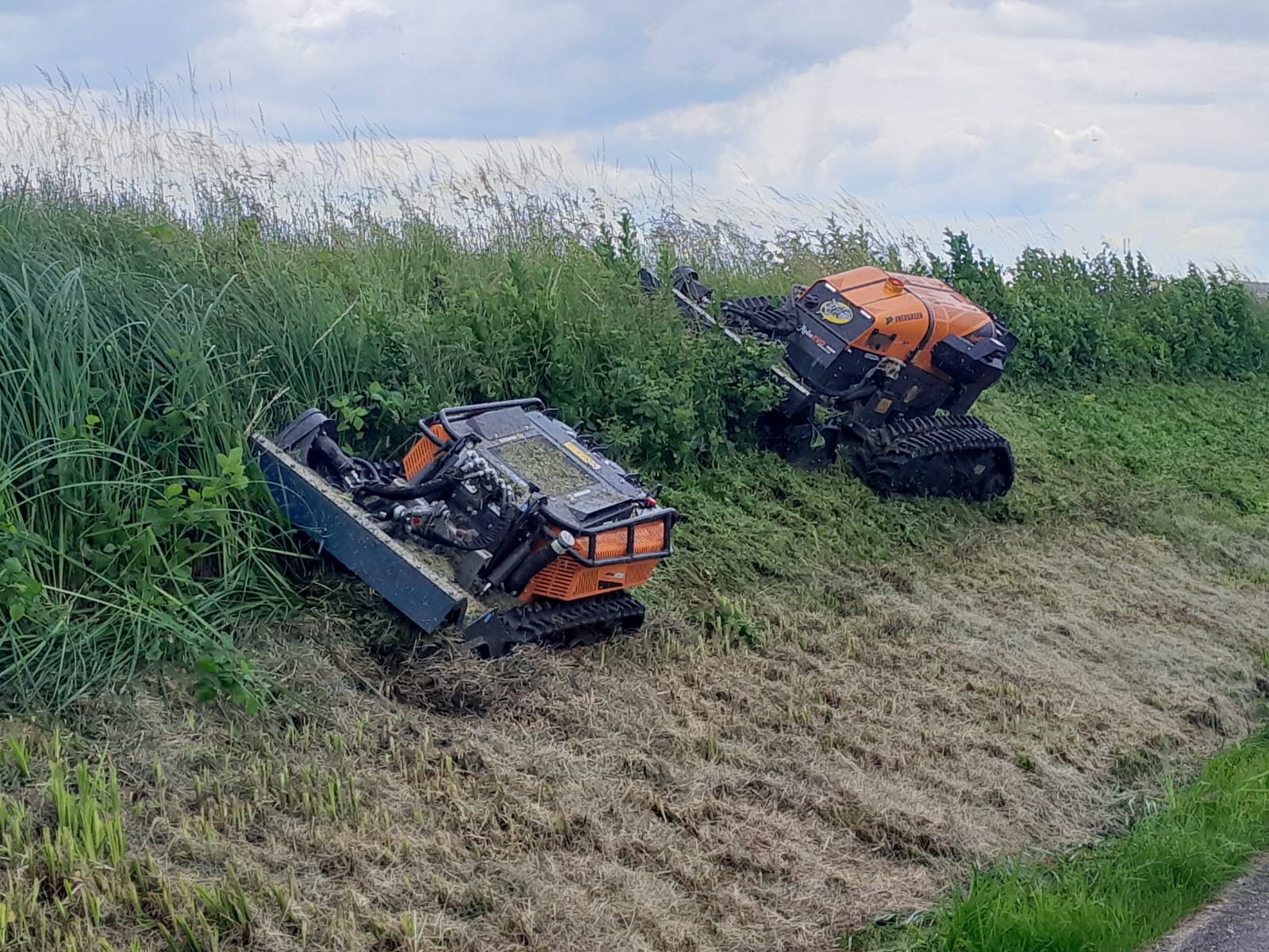 Pflege und Grünraumpflege