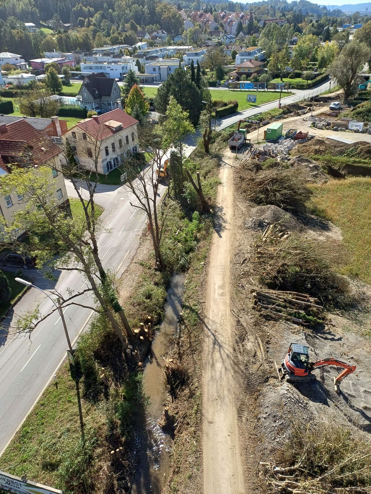 Rodung und Baumabtragung