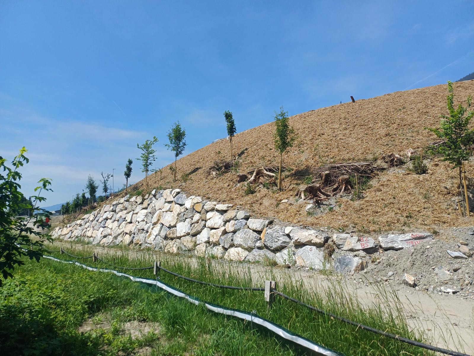 Foto: Strohdecksaat