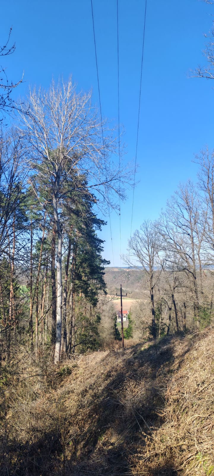 Foto: Leitungspflege